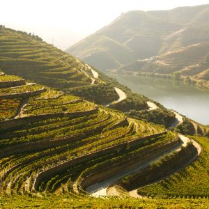 The Douro demarcated wine region - Portugal